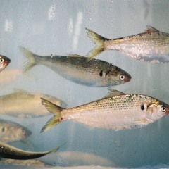 bluetooth cigarettes