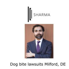 Dog bite lawsuits Milford, DE