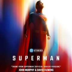 Punkrocker - Teddybears cover (From Superman)