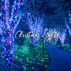 Christmas Lights (ft. Anty)