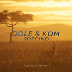 Sordino (Radio-Edit)