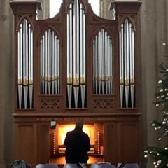 Engels Walcker orgel in Elst