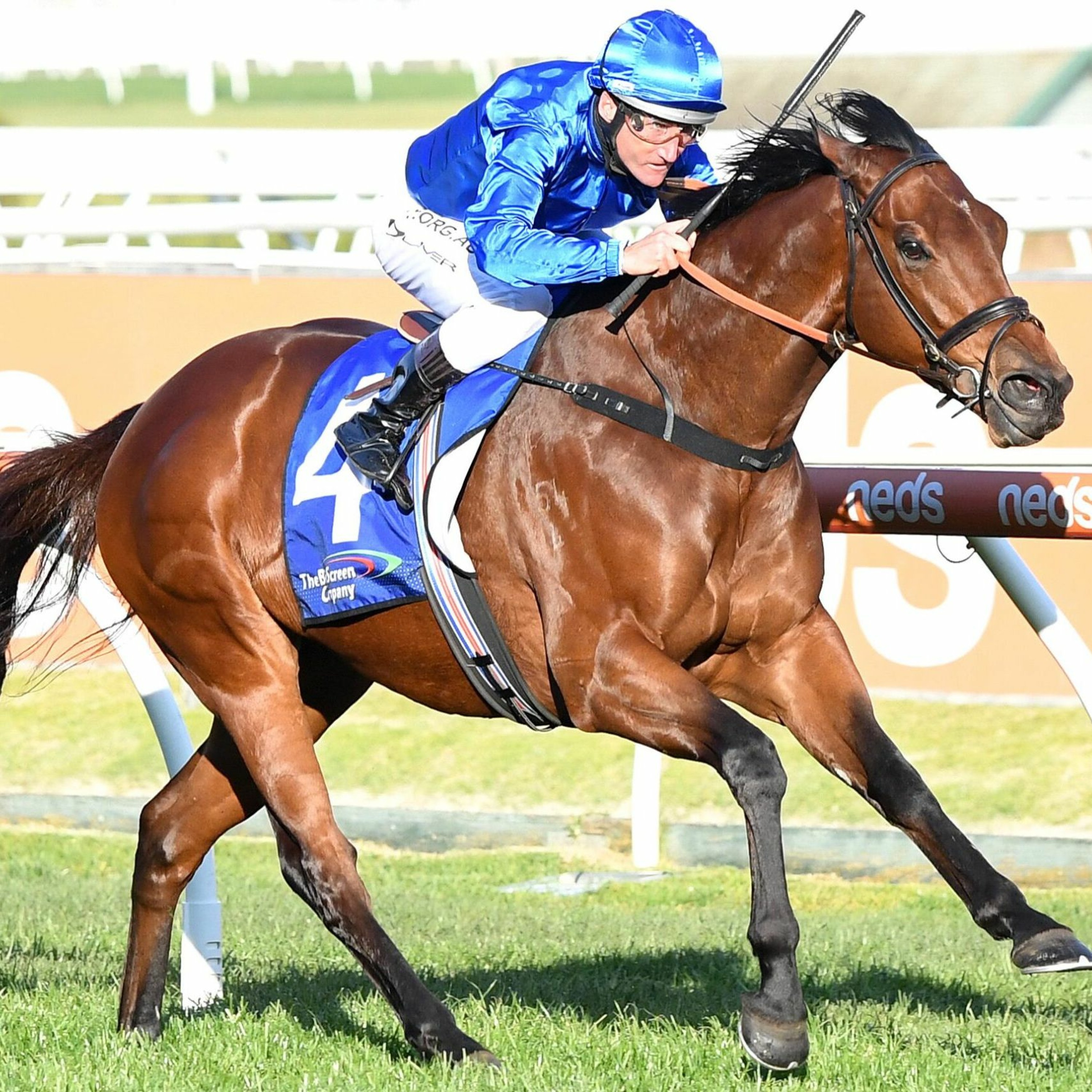 Bletchingly Stakes Day Punting Preview