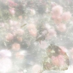 known no fear + cloudii (prod. negative.creeper)