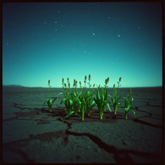 Season of Rebirth (Better myself) v2