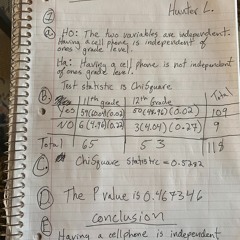 Zach Schottler - Conceptual Crime