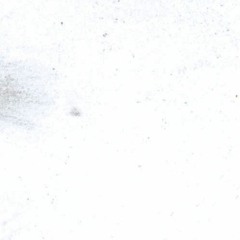 BLANK CANVAS