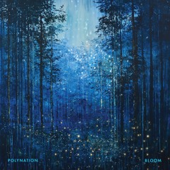 PREMIERE – Polynation – Hyfen (Atomnation)