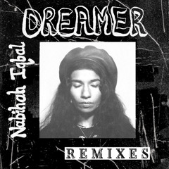 Dreamer (Slowspin Remix) [feat. Zak Khan]