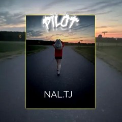 Pilot-NAL.TJ2