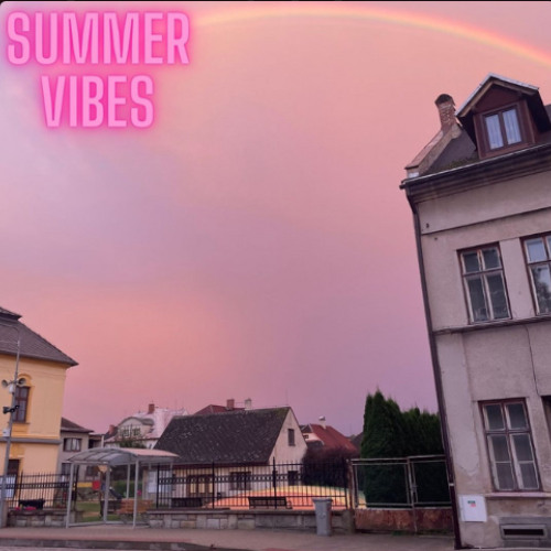 partymus vibes final version