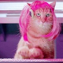 Bounce Little Kitty Remix