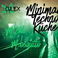 M.osquito/Culex Feb.26 part1.mp3