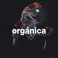 Downtempo Organic House Music by Tibetania | Desert Tones Mix [2025]