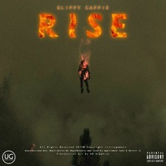 Rise
