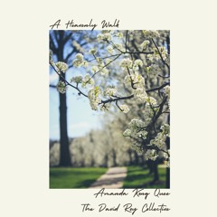 A Heavenly Walk - The David Roy Collective