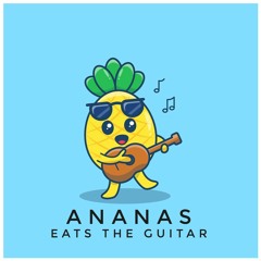 Ananas Akustik Version