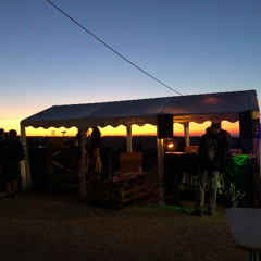 LIVE - 2025 - jungle 162