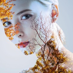 Dima: Ravnovesie (Equilibrium)
