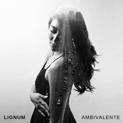 Sonamos Juntos (ft. Alex Castillo)