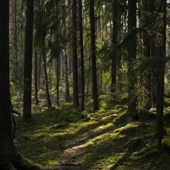 спой для меня - бюро