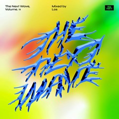 The Next Wave, Volume. 11 - Mixed by Los