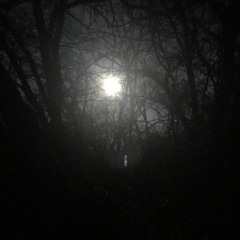 Dark Frontier