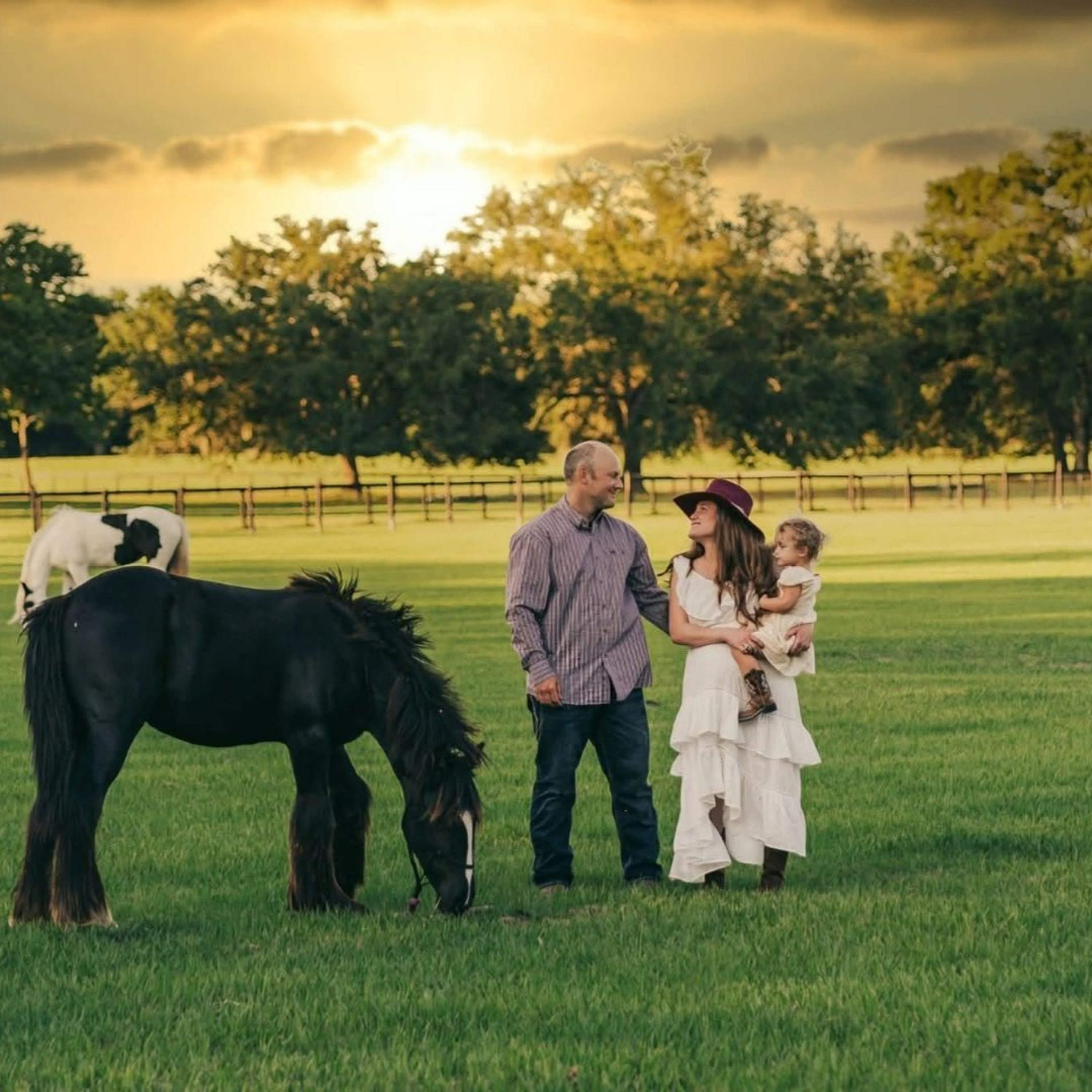 The Horse Talk Show: Open Hands Animal Rescue, Dorvit Ranch and MORE! episode artwork