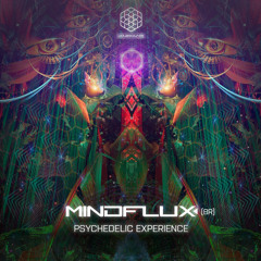 MindFlux (BR) - Psychedelic Experience (Original Mix)