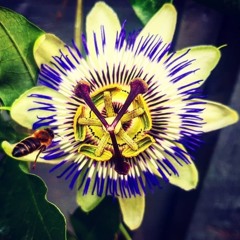 LATE NIGHT DREAMS & QUARANTINES