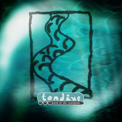 tondiue - Mind [Kelp Roots 01]
