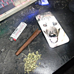 jane barbe (we're sorry) (prod. 71V)