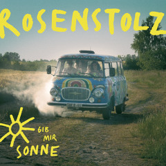 Gib mir Sonne (Martin Roth Nu Style Remix Edit)