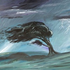 Storm