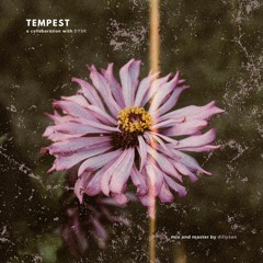 Tempest (w/ DYSK)