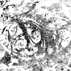 Where the Crawling Teeth Sleep