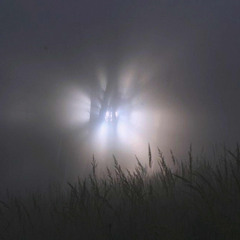 work night slop (sorrowbringer)