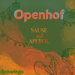 Schwingo @ Openhof 2025