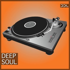 Deep Data Loops - Deep Soul