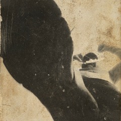 Shiwan - Offensive