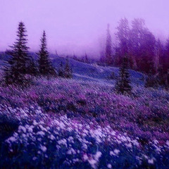 alternative outro (superslowed instrumental ending)