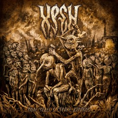 Поле чудес в стране дураков