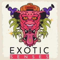 EXOTIC SENSES-DACKHO (TECH HOUSE)
