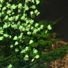 품었네