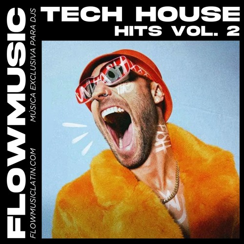 TECH HOUSE HITS VOL. 2 (REMIXES, EDITS, MASHUPS) - 103 TRACKS