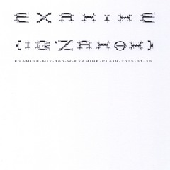examine-mix-100-w-examine-plain-2025-01-30