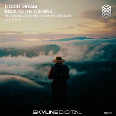[SKY011] Liquid Dream - Back To The Origins (VEIZO Meets Vcis64 Remix)