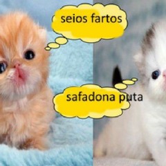 kkkkkkkjjjjjjj bosta