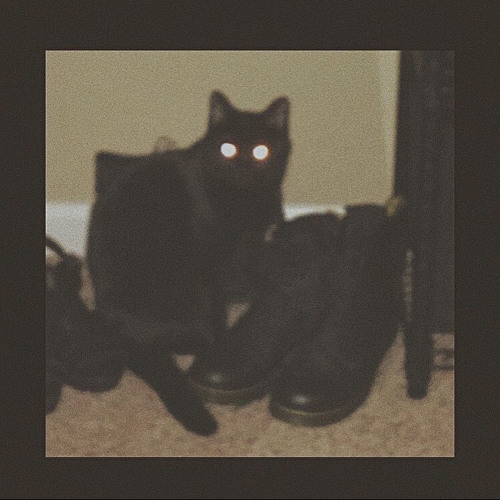 out (all platforms)