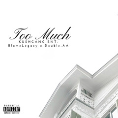 Too Much ft. Double.AA (Prod. UNLUCKY ヌ竹演, Mixed. LIQUID $MOKE🍃 x BlameLegacy)